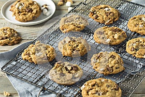 Homemade Gooey Smores Cookies