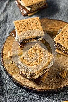 Homemade Gooey Smores Sandwiches