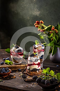 Homemade granola with greek yogurt, berries jam and fresh blackberries and blueberries in glasses