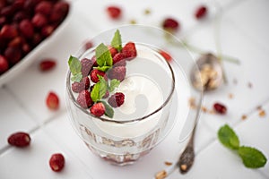 homemade granola with greek yogurt and wild strawberrys