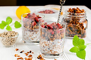 Homemade granola with yogurt and wild berries