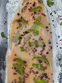 Homemade Gravlax-Style Salmon with a Citrus Pepper Kick: Salt and Sugar Dry Cure photo