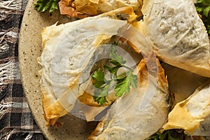 Homemade Greek Spanakopita Pastry