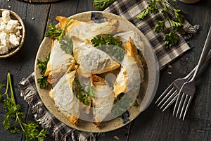 Homemade Greek Spanakopita Pastry