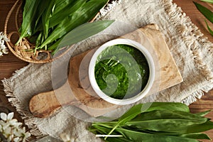 Homemade green pesto sauce made of fresh bear's garlic or ramson leaves - wild edible plant harvested in spring
