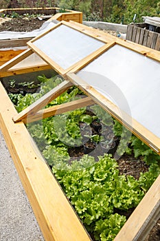 Homemade greenhouse raised garden bed
