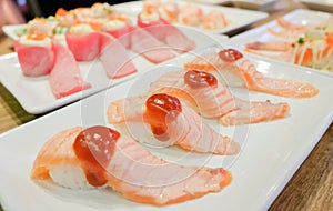 Homemade grilled toro salmon sushi sake nigiri top on rice wit photo