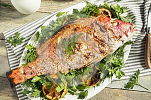 Homemade Grilled Whole Red Snapper