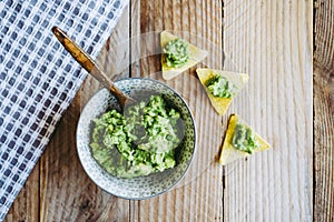 Homemade guacamole with corn chips tortillas - Traditional spicy Mexican preparation