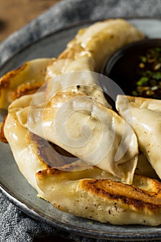 Homemade Gyzo Asian Pork Potstickers