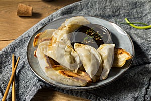 Homemade Gyzo Asian Pork Potstickers