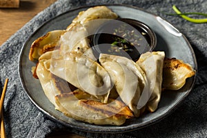 Homemade Gyzo Asian Pork Potstickers