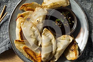 Homemade Gyzo Asian Pork Potstickers
