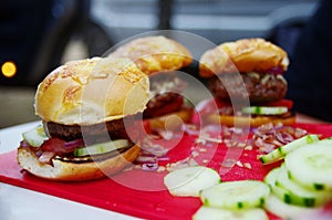 Homemade hamburgers. Picnic in the nature.