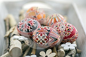 Homemade handmade painted Easter eggs on birch branches on grey wooden tray, traditional hnadcraft eggs, white flowers