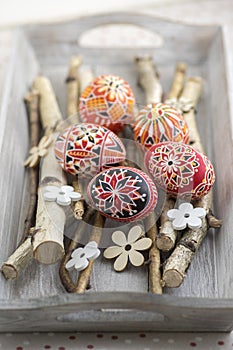 Homemade handmade painted Easter eggs on birch branches on grey wooden tray, traditional hnadcraft eggs, white flowers