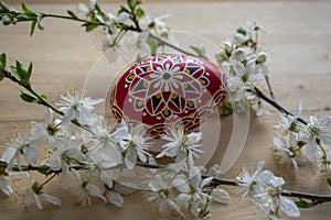 Homemade handmade painted Easter eggs on birch wooden table decorated with blackthorn sloe branch