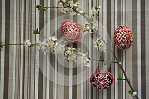 Homemade handmade painted Easter eggs on striped tablecloth decorated with blackthorn sloe branch