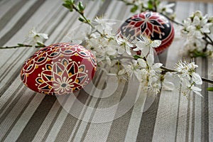 Homemade handmade painted Easter eggs on striped tablecloth decorated with blackthorn sloe branch