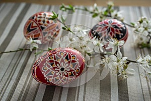 Homemade handmade painted Easter eggs on striped tablecloth decorated with blackthorn sloe branch