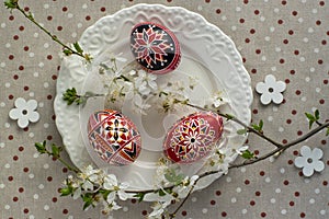 Homemade handmade painted Easter eggs on white plate on spotted tablecloth decorated with blackthorn sloe white flowering branch