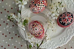 Homemade handmade painted Easter eggs on white plate on spotted tablecloth decorated with blackthorn sloe white flowering branch