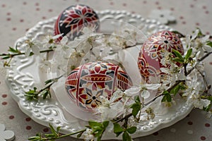 Homemade handmade painted Easter eggs on white plate on spotted tablecloth decorated with blackthorn sloe white flowering branch