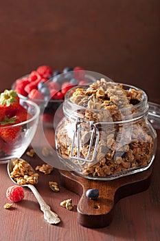 Homemade healthy granola in glass jar and berries