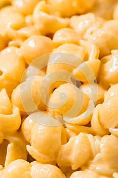 Homemade Healthy Macaroni and Cheese Shells