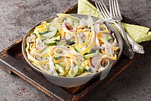 Homemade healthy salad of boiled chicken, sliced omelette, cucumber and onion close-up in a plate. horizontal