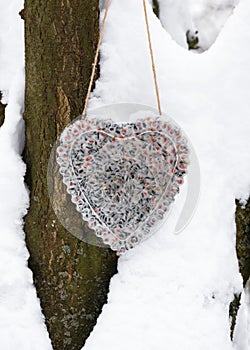 Homemade heart shaped suet cake hanging in the snowy winter garden.