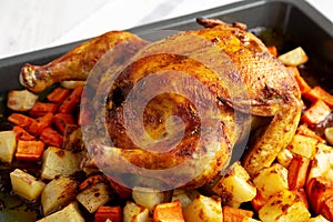 Homemade Hearty Roasted Chicken on a Tray, side view