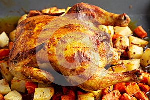 Homemade Hearty Roasted Chicken on a Tray, side view