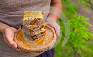 Homemade honey in the garden in the hands of a man. Selective focus.