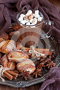 Homemade hot chocolate in mug with marshmallow