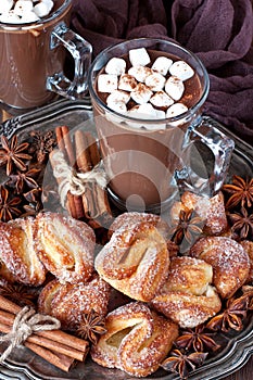 Homemade hot chocolate in mug with sugar cookies