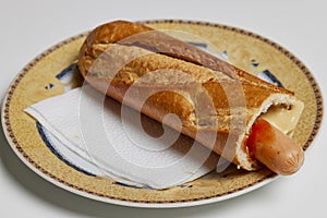 homemade hot dog on a plate