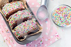 Homemade ice cream sandwich with chocolate chip cookie, watermelon ice cream,  covered with colorful sprinkles, horizontal, top