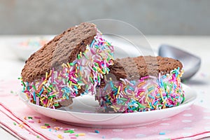 Homemade ice cream sandwich with chocolate chip cookie, watermelon ice cream, covered with colorful sprinkles, on  white plate,