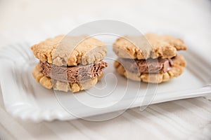 Homemade ice cream sandwich with chocolate ice cream