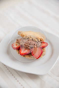 Homemade ice cream sandwich with chocolate ice cream