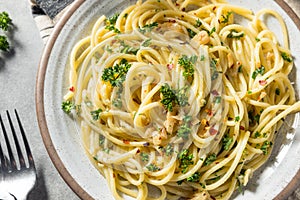 Homemade Italian Spaghetti Algio e Olio