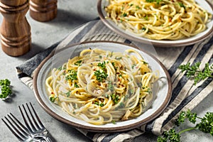 Homemade Italian Spaghetti Algio e Olio