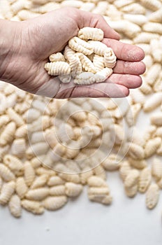 Homemade Italian Traditional Gnocchi