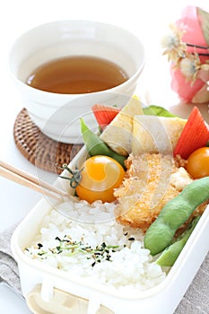 Homemade Japanese bento lunch box
