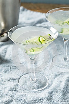 Homemade Japanese Sake Cucumber Martini Cocktail