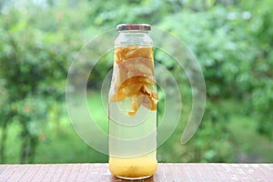Homemade jar of sliced, canned peaches on green . Peach kompot, a sweet beverage with boiled fruits in green background