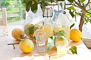 Homemade Limoncello