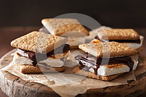 Homemade marshmallow s`mores with chocolate on crackers