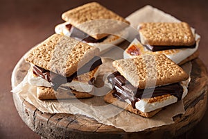 Homemade marshmallow s`mores with chocolate on crackers